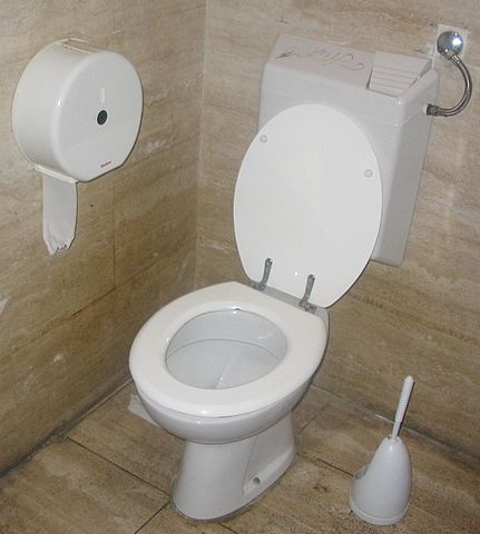 431px-Toilet_with_flush_water_tank