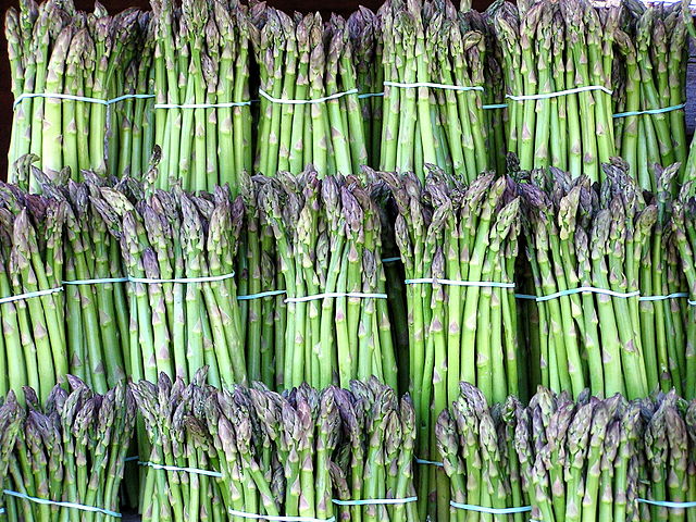 640px-Asparagus_image