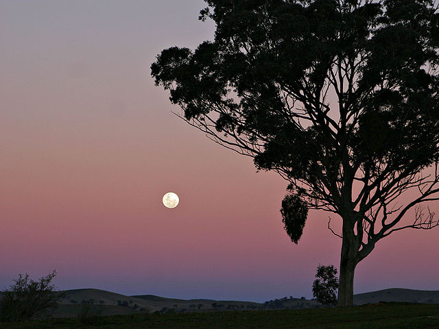 640px-Moon_and_red_blue_haze