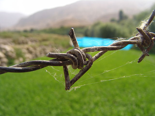 640px_Barbed_Wire_1