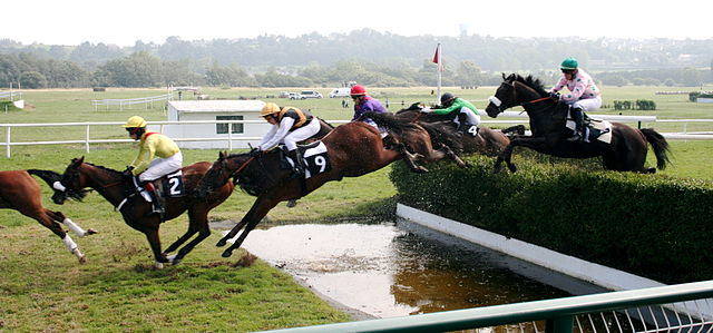 640px_Steeplechase__1257926029_