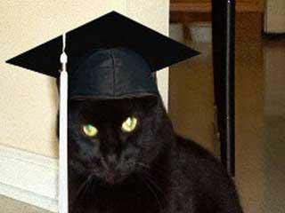 Colby_the_College_Cat