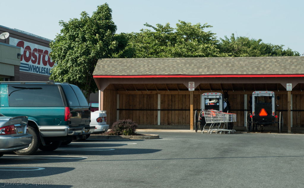 Costco-buggies-James-OGulnn-1024x633