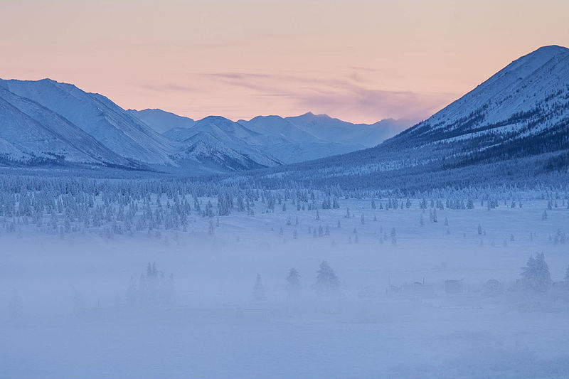 Oymyakon_forests