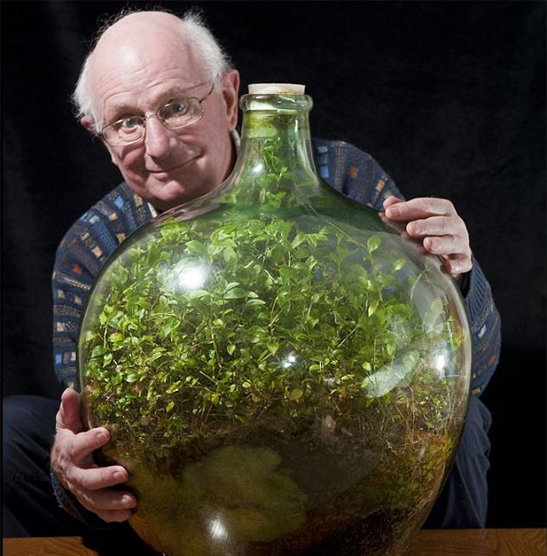 bottle-garden-man