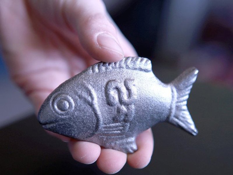 luckyfish.jpg__800x600_q85_crop