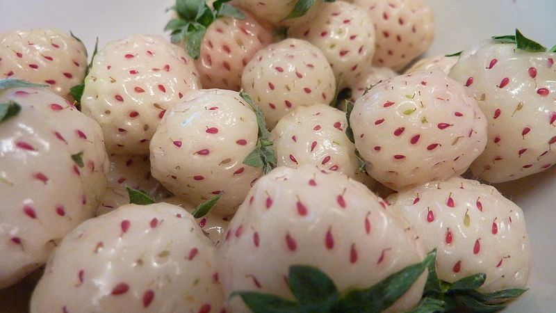 pineberrieberries