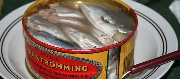 Surströmming - Wikipedia